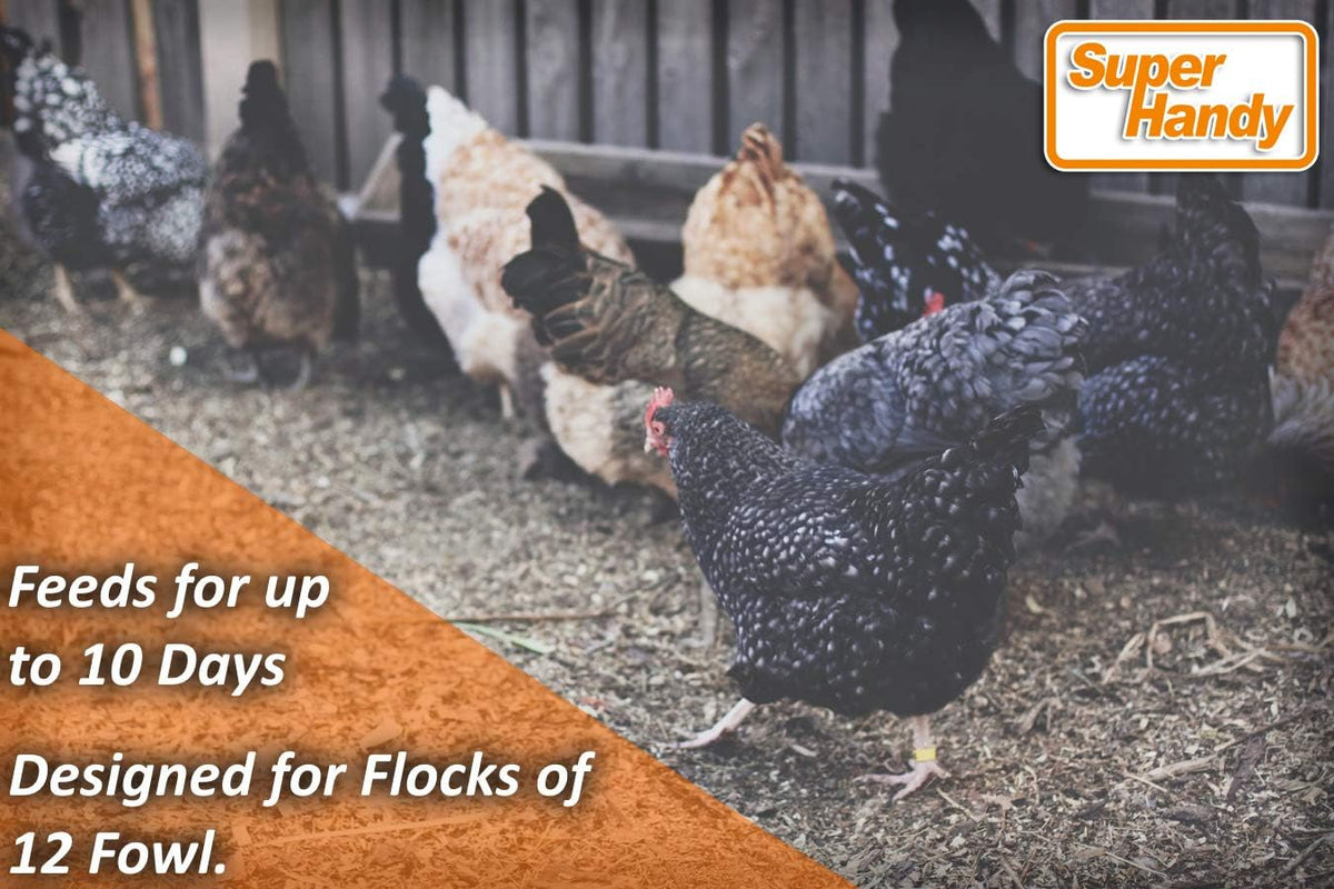 Chicken Feeder Automatic 20lbs Capacity Galvanized Steel B7191