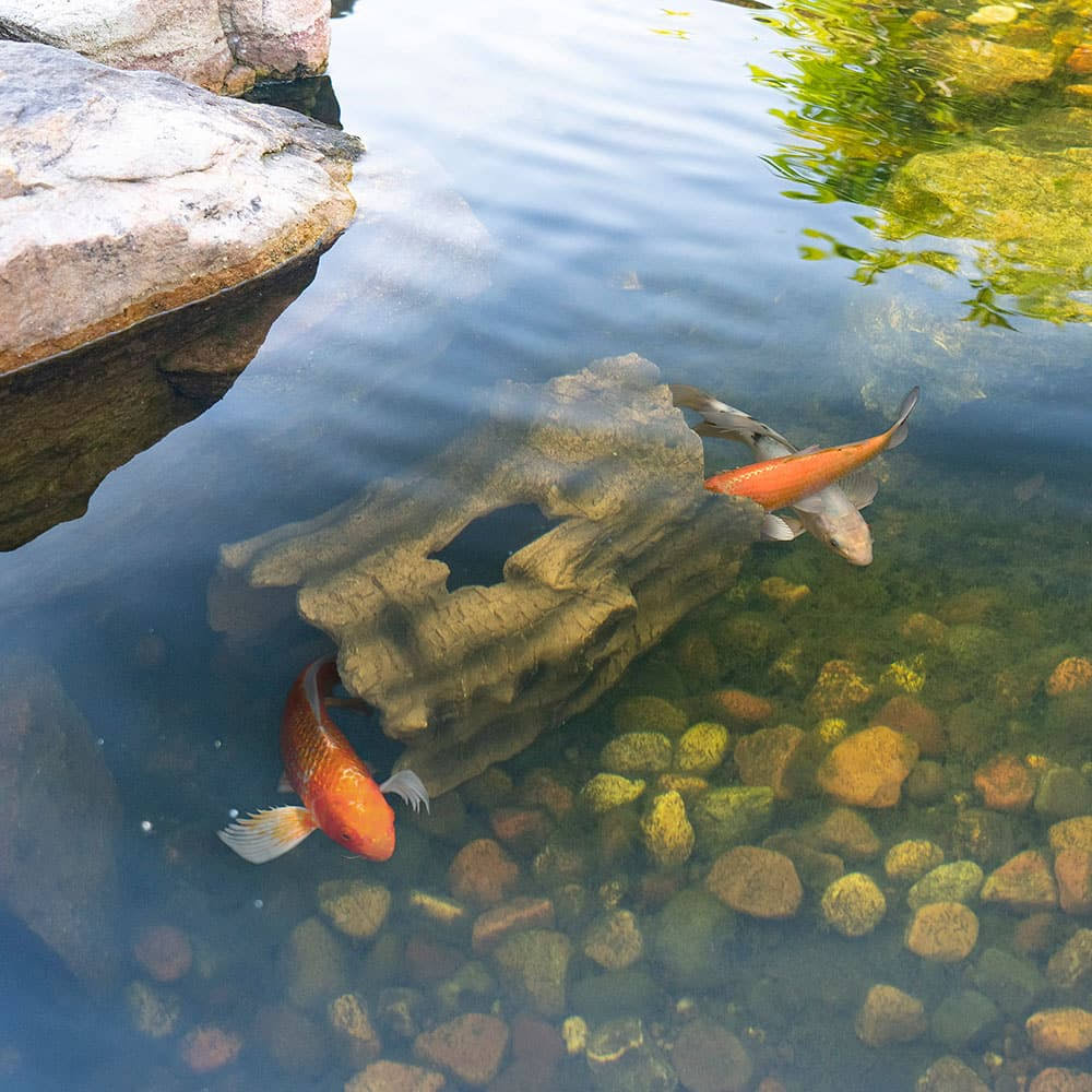 Faux Log Fish Cave O3793