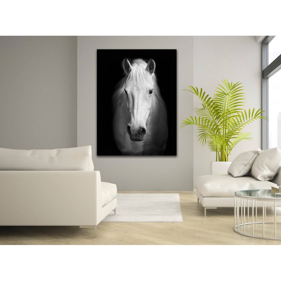 White Horse Face Photography Canvas Art Y9801