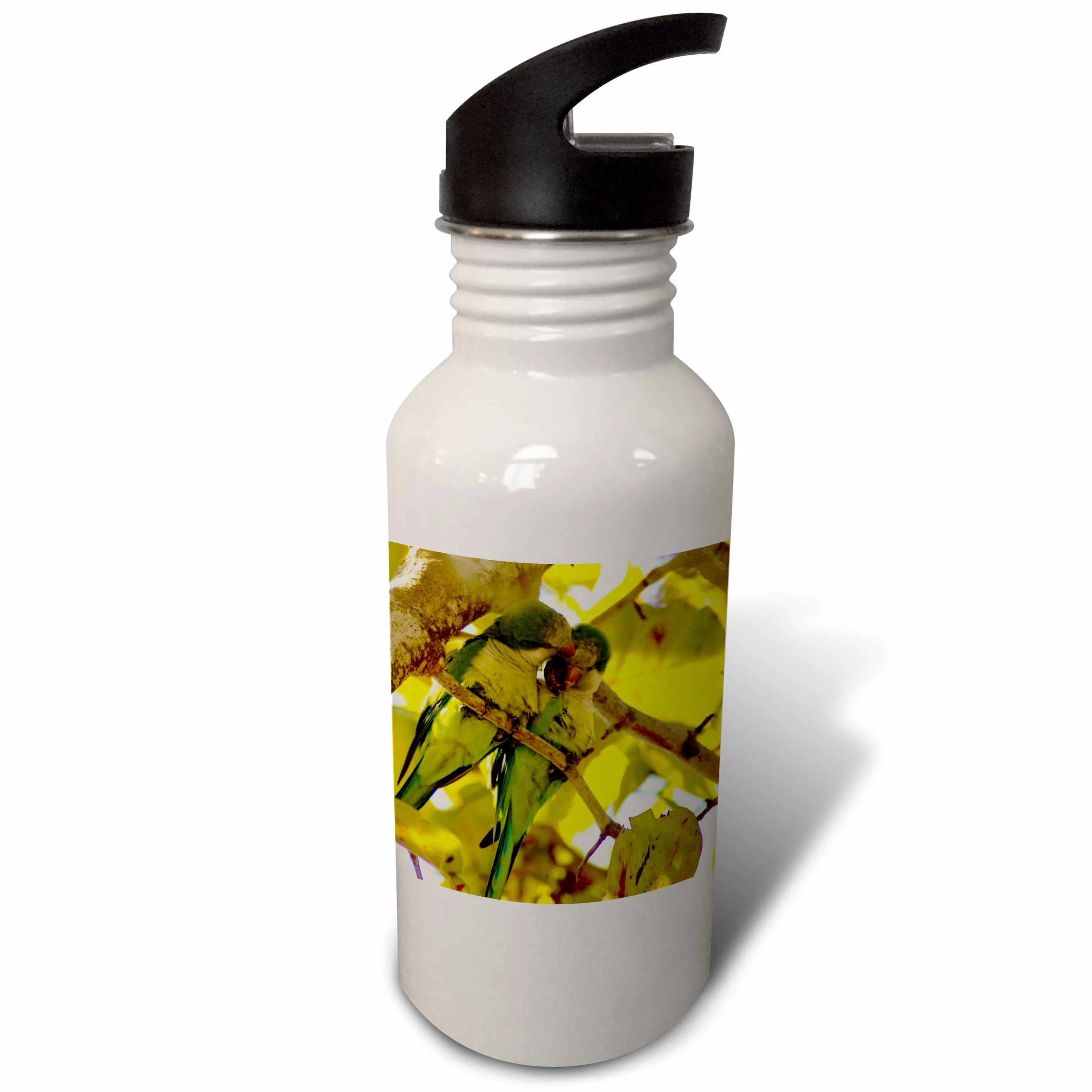 Parakeets In Tree 21 oz Sports Water Bottle Y5748