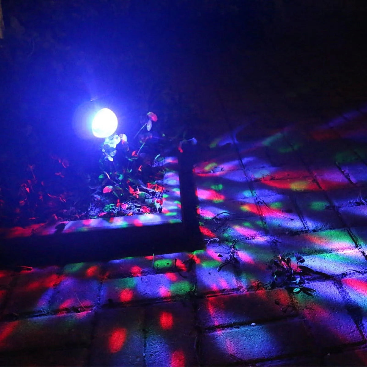 Red & Green LED Christmas Lights Projector J22447