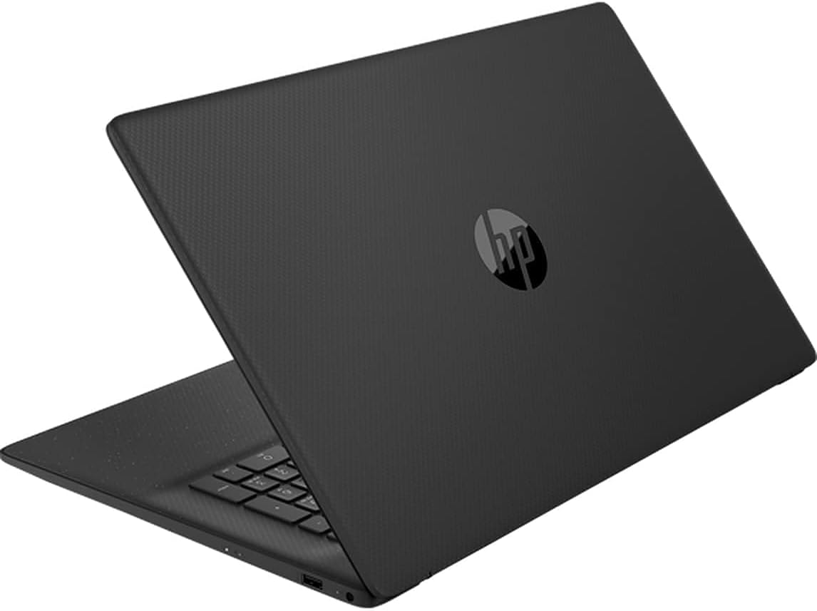 17.3 HD+ Screen AMD Athlon Gold 3150U Processor Windows 10 Home Black 16GB RAM 1TB SSD Laptop Z217530