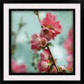 Photographic Print 38x22 Black Frame G1524