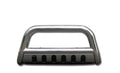Stainless Bull Bar L39763