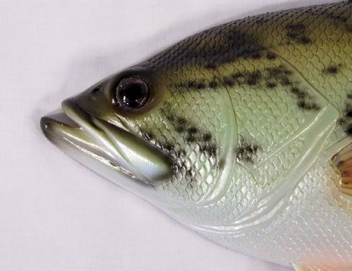 Large Mouth Bass Wall Mount Decor Plaque 18x22 S912185