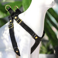 Leather Adjustable Cat Harness C3550