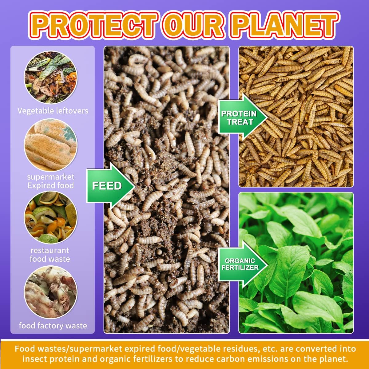 30lbs Bulk Dried Black Soldier Fly Larvae for Chickens Q159