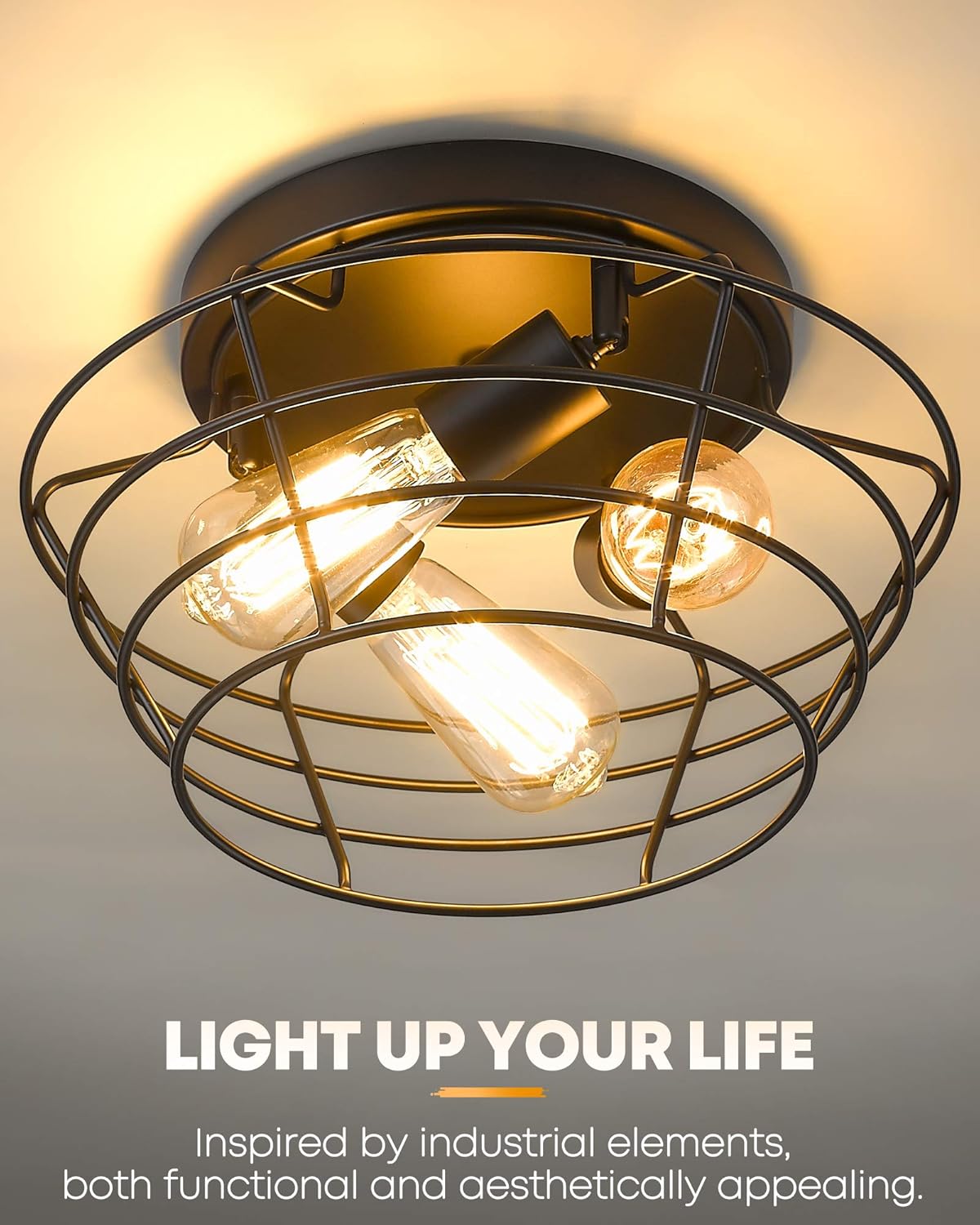 Vintage Black Metal Cage Ceiling Light Fixture H90461