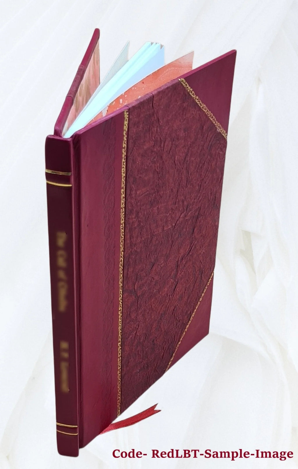 Father Damien Volume 370 1923 Leather Bound R43938